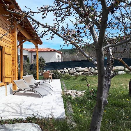 Corneilla-de-Conflent Chalet Mont Canigoヴィラ エクステリア 写真