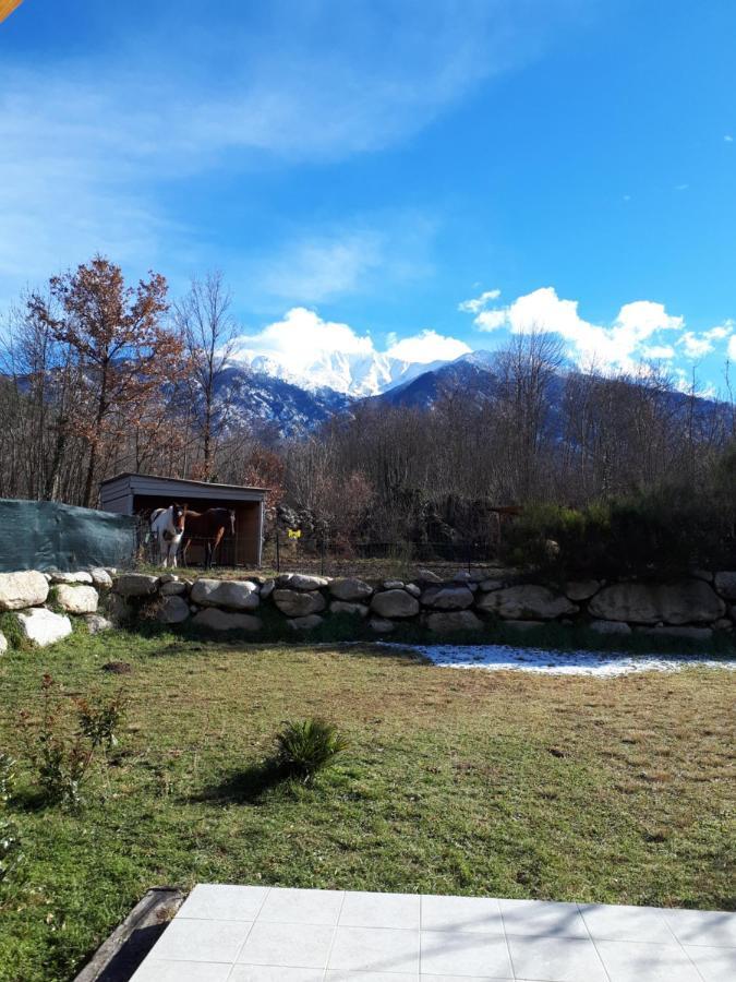 Corneilla-de-Conflent Chalet Mont Canigoヴィラ エクステリア 写真