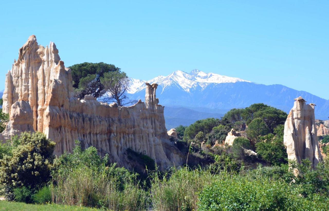 Corneilla-de-Conflent Chalet Mont Canigoヴィラ エクステリア 写真