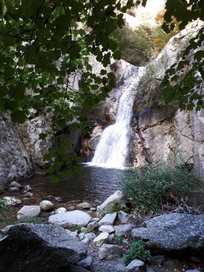 Corneilla-de-Conflent Chalet Mont Canigoヴィラ エクステリア 写真